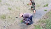 IMG-20251105-WA0067
